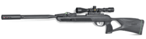 Gamo Swarm Fusion 10X GEN3i Inertia Fed .22