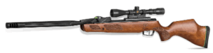 Gamo Swarm Bone Collector 10X GEN3i