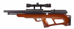 Beeman PCP Underlever Air Rifle